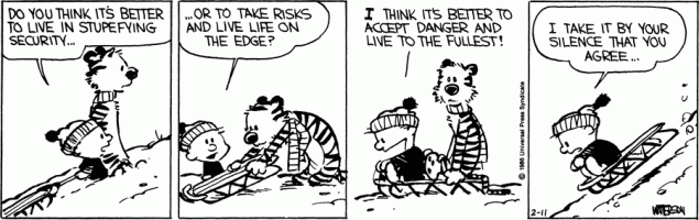 Calvin on Risk
