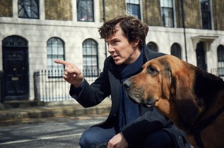 sherlock-bloodhound