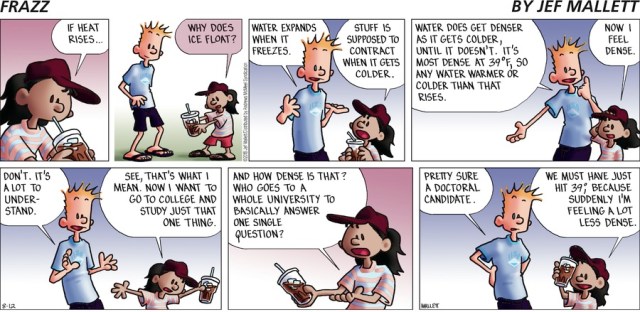Frazz Equivocating Density