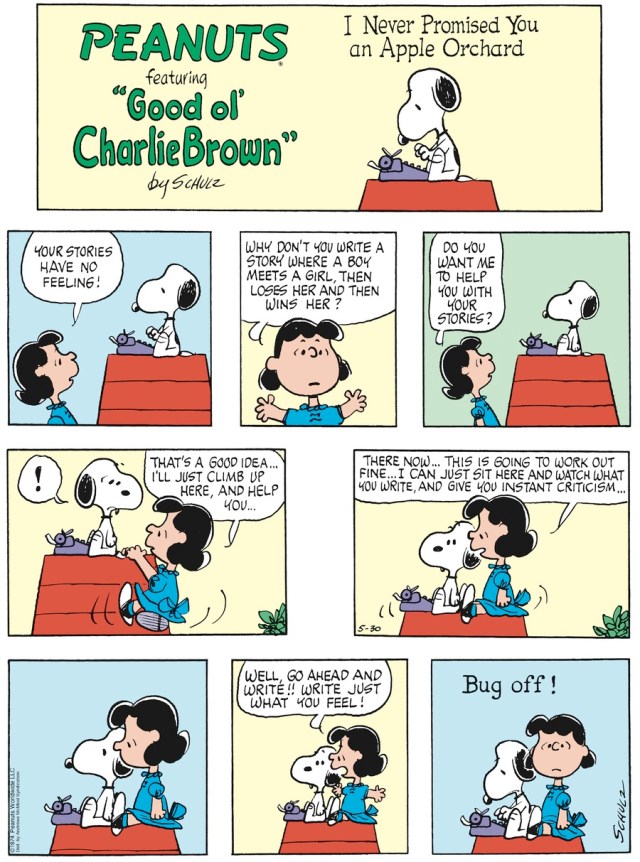 Peanuts Questionable Collaboration